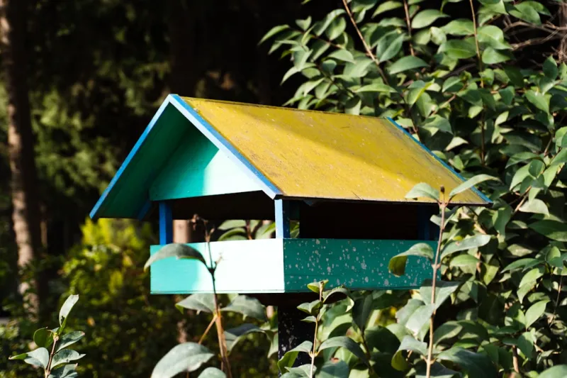 How To Create A Solar Powered Birdhouse For Backyard Wildlife
