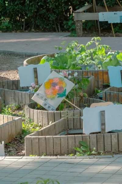  How To Create A Sustainable Garden From Recycled Materials  Bd31e0