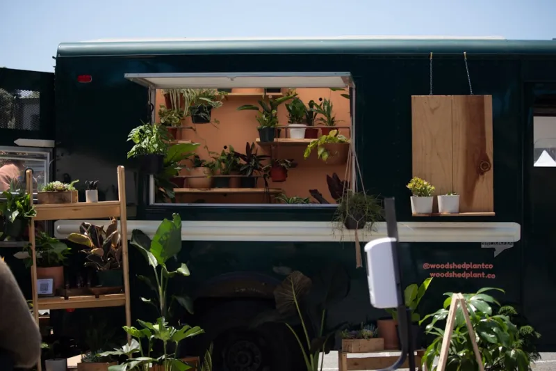 How To Create A Sustainable Garden In Small Spaces