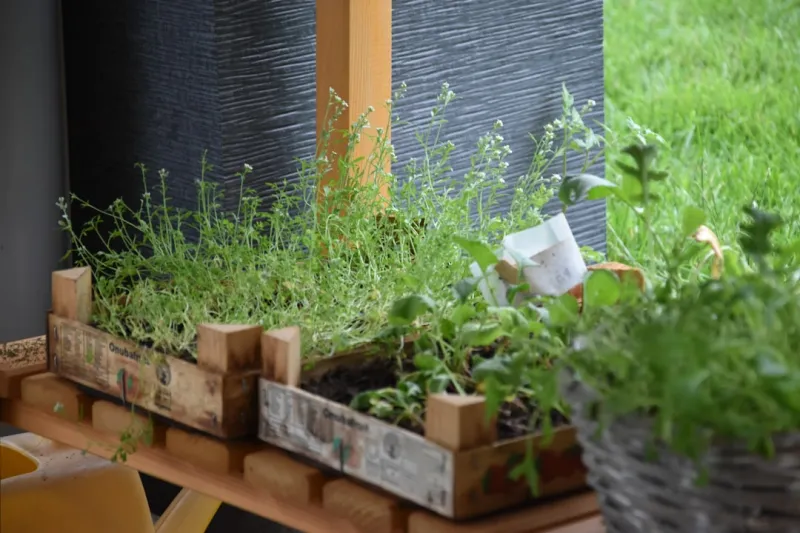 "how to create a sustainable home garden for beginners" setup