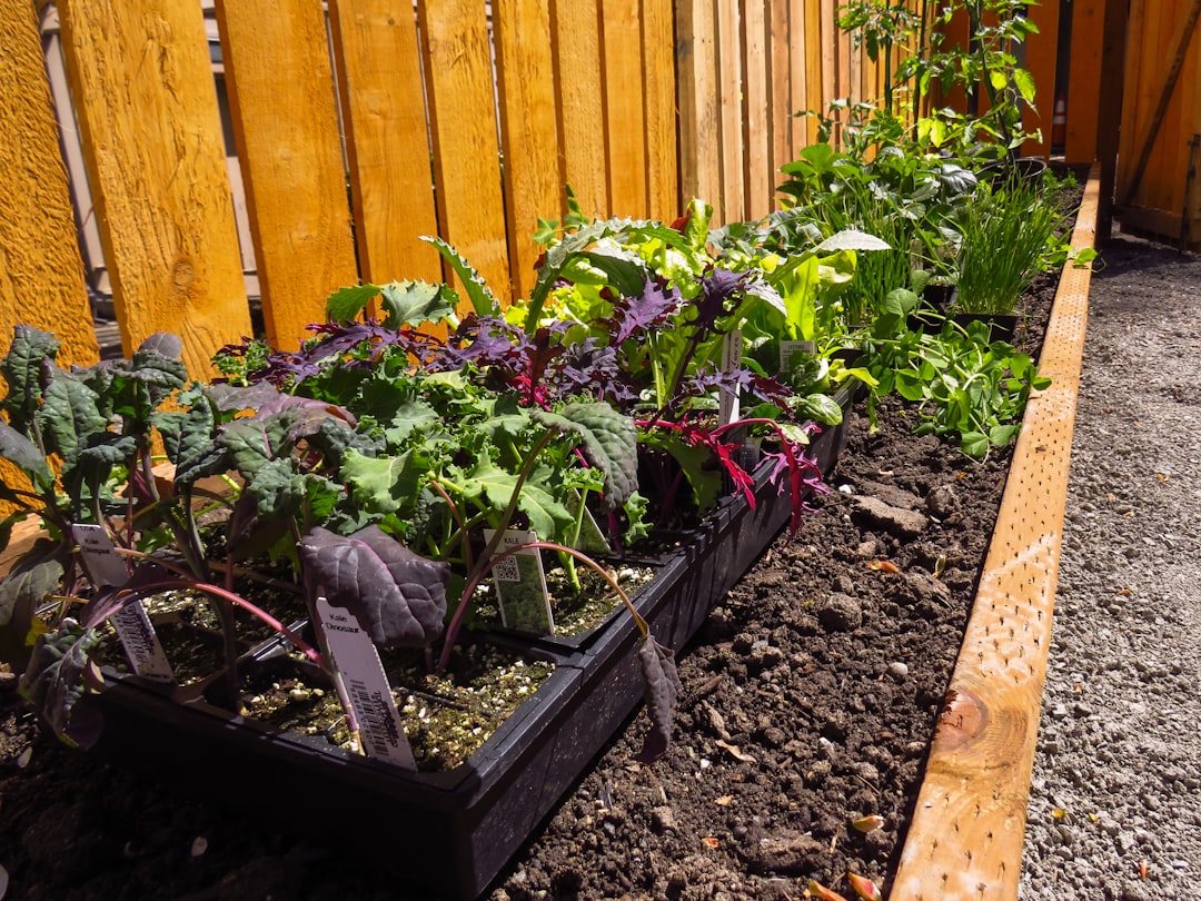 DIY How to Create a Sustainable Vertical Garden Using Recycled Wood Pallets and Eco-Friendly Soil Mixes: Fill with Eco-Friendly Soil Mix step
