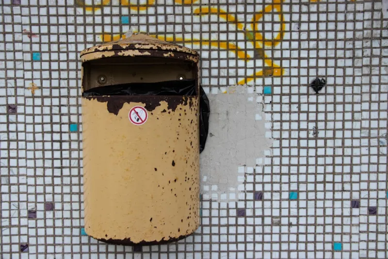 Create A Biodegradable Seed Starter Kit Using Repurposed Toilet Paper Rolls