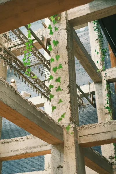 create a hanging vertical garden with repurposed plastic bottles and local plants setup