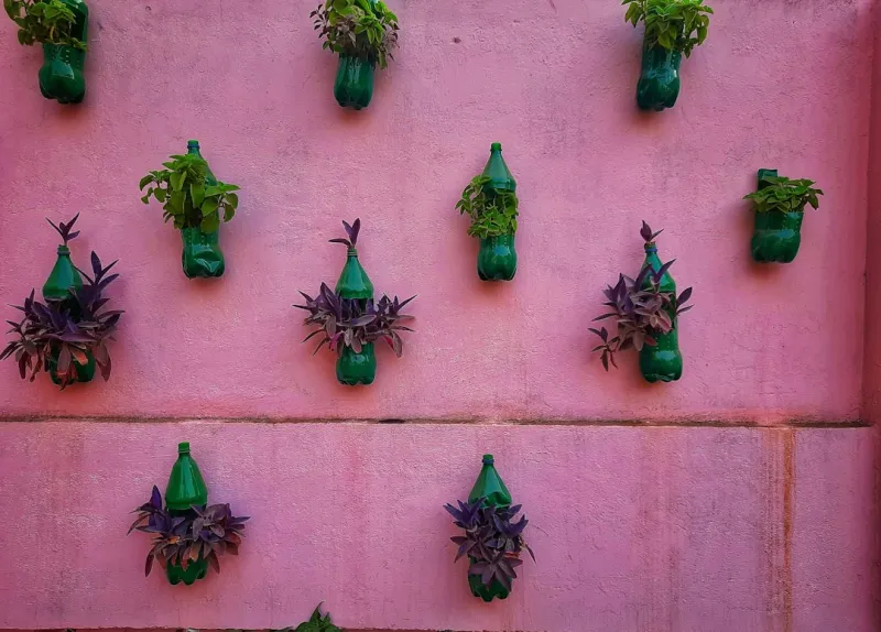 create a self-sustaining vertical garden with repurposed plastic bottles setup