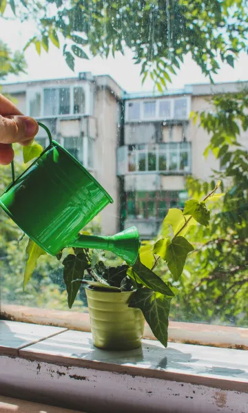 create a self-watering indoor herb garden using repurposed plastic containers result