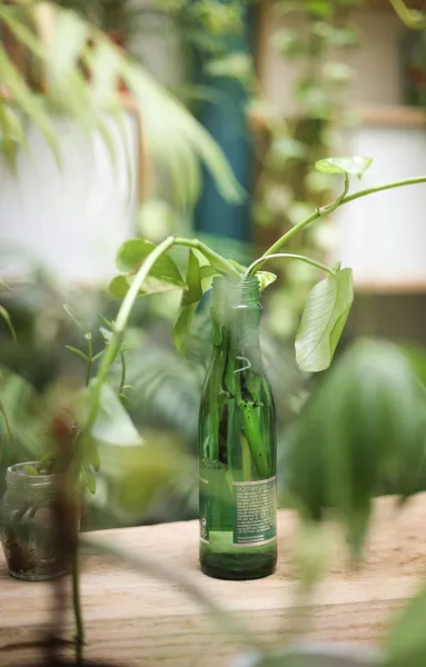 Create A Self Watering Indoor Herb Garden Using Upcycled Plastic Bottles