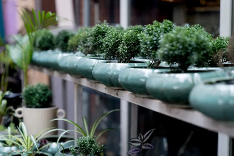 Create A Self Watering Vertical Garden Using Repurposed Plastic Bottles And Pvc Pipes