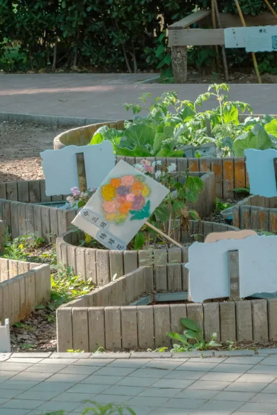 Create A Vertical Garden Using Reclaimed Pallets And Biodegradable Pots