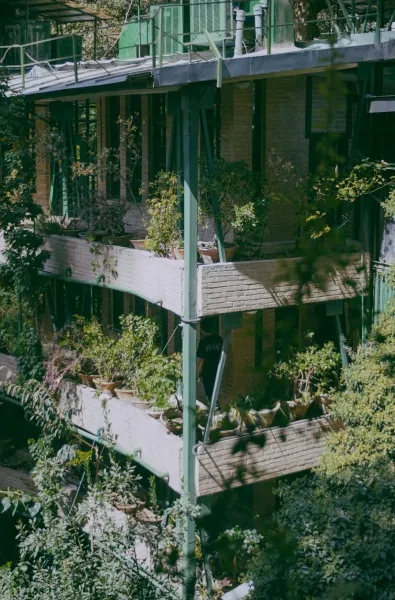 Create A Vertical Garden Using Reclaimed Pallets For Urban Spaces
