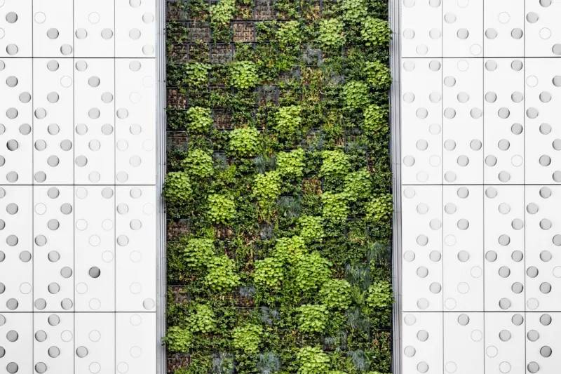 Create A Vertical Garden Using Repurposed Pallets And Hydroponic Systems C7dc2e