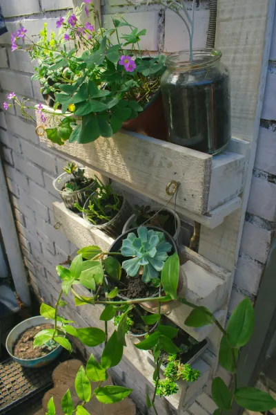 create a vertical garden using repurposed pallets and upcycled containers setup