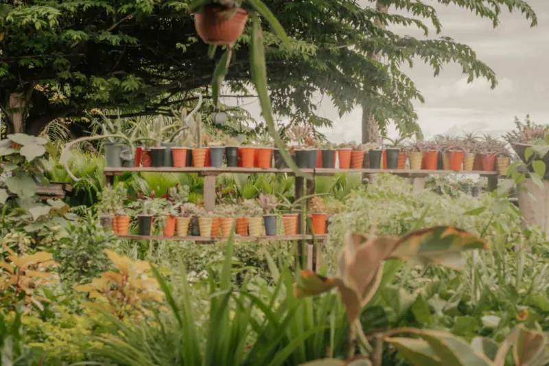 create a vertical garden using repurposed plastic bottles and natural dyes result