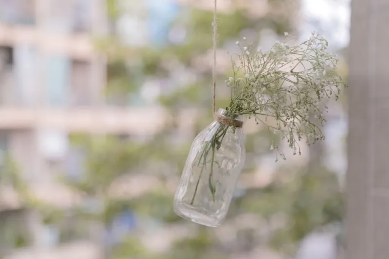 Create A Vertical Garden Using Repurposed Plastic Bottles And Ropes