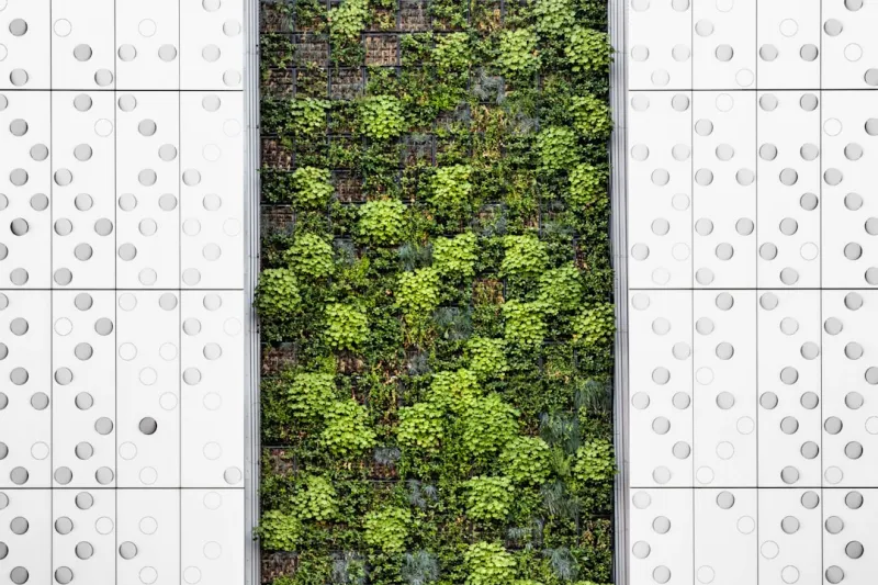 Create A Vertical Garden Using Repurposed Plastic Bottles And Urban Space Optimization Techniques