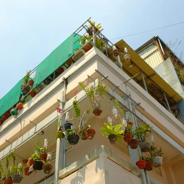 Create A Vertical Garden Using Repurposed Plastic Bottles For A Small Apartment Balcony