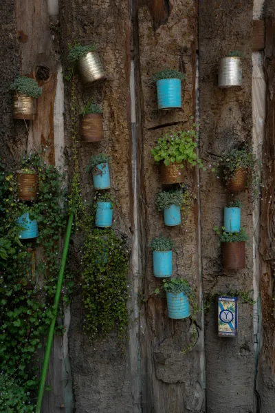 Create A Vertical Garden Using Repurposed Wooden Pallets And Recycled Bottles