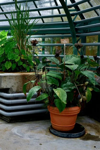 Create A Vertical Garden Using Upcycled Pallets And Rainwater Collection Systems 23428e