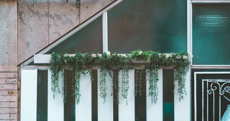 Create A Vertical Garden Wall Using Repurposed Pallets And Lightweight Soil Mix Edc21d