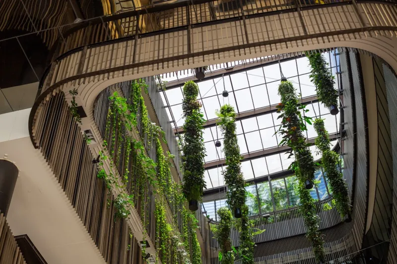 Create A Vertical Garden Wall Using Repurposed Plastic Bottles And A Drip Irrigation System