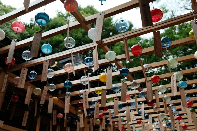 Create A Vertical Garden Wall Using Repurposed Wine Bottles And String Lights