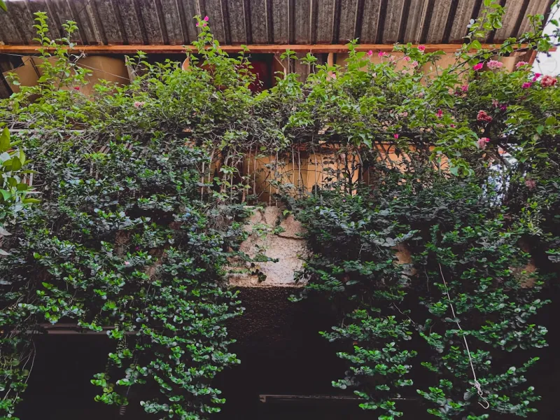Create A Vertical Garden Wall Using Salvaged Pallets And Repurposed Containers