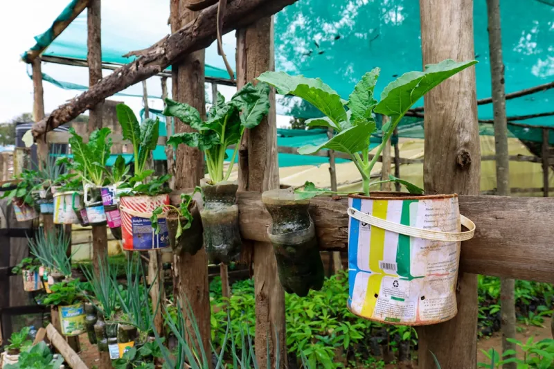 create a vertical herb garden using repurposed plastic bottles and a wooden frame setup