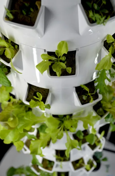 create a vertical hydroponic garden using repurposed plastic bottles and LED grow lights setup