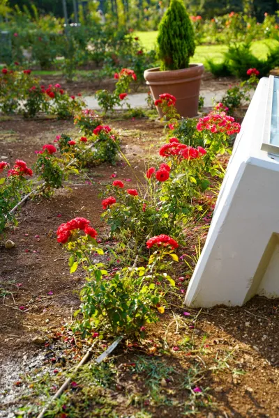 Create A Vertical Vegetable Garden With Repurposed Pallets And Irrigation System Bcdbf0
