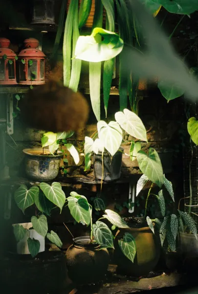 create an eco-friendly indoor garden with upcycled glass jars and LED grow lights setup