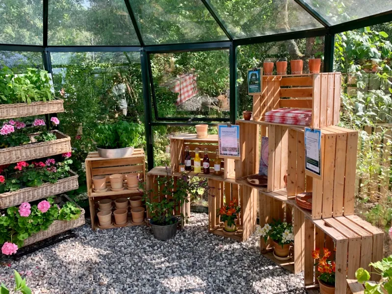 Create An Eco Friendly Vertical Garden Using Repurposed Pallets And Recycled Bottles