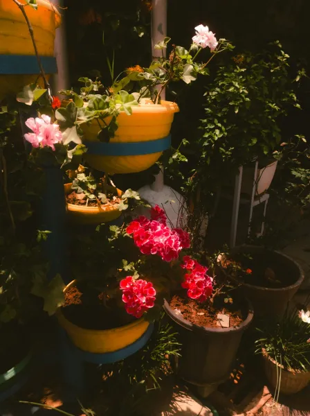 create an eco-friendly vertical garden using repurposed pallets and upcycled containers setup