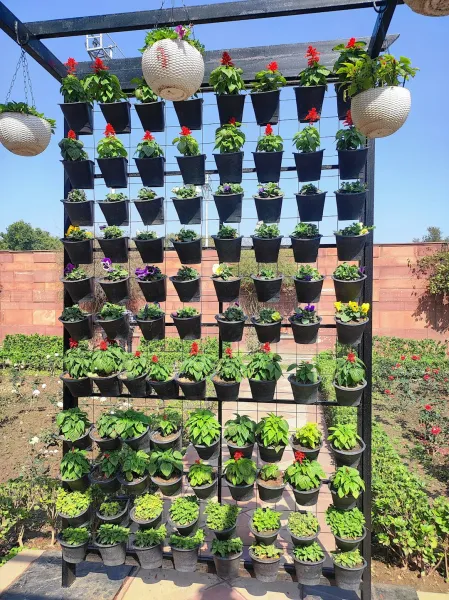 create an eco-friendly vertical garden using repurposed plastic bottles and a wooden frame setup