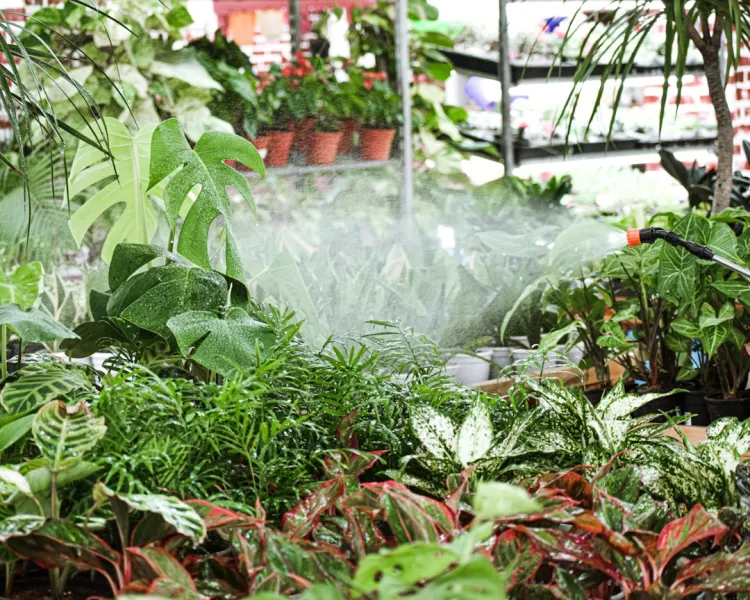 Create An Indoor Herb Garden With Self Watering Planters Made From Repurposed Plastic Containers