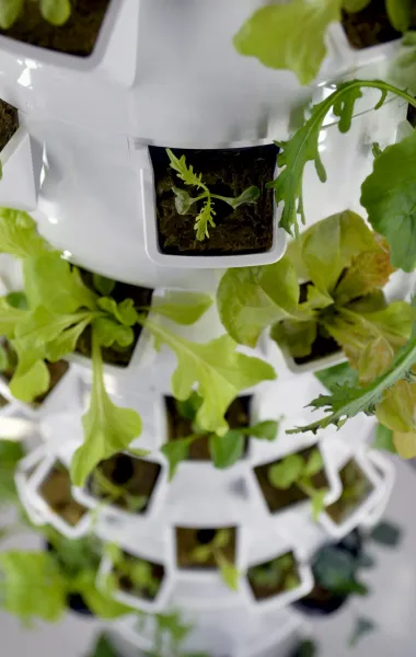 Create An Indoor Vertical Garden Using Repurposed Materials And Smart Irrigation Technology