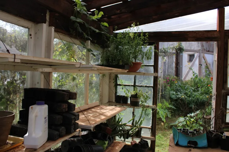 Create An Indoor Vertical Garden Using Repurposed Pallets And Drip Irrigation 1382f1