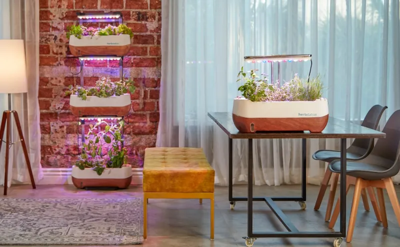 create an indoor vertical garden using repurposed pallets and LED grow lights setup