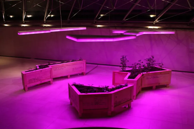 Create An Indoor Vertical Garden Using Repurposed Wine Crates And Led Grow Lights