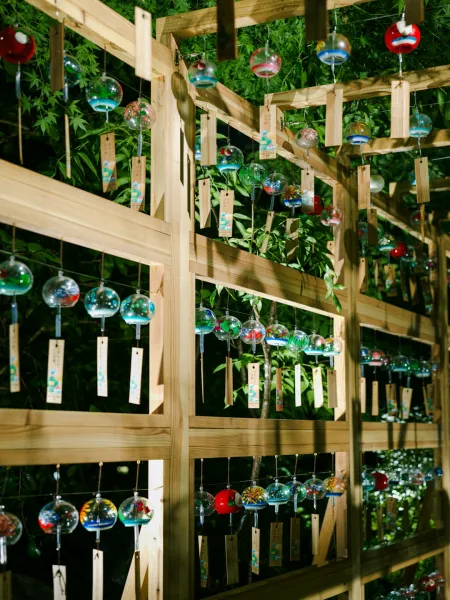 create an indoor vertical garden using upcycled plastic bottles and LED grow lights setup