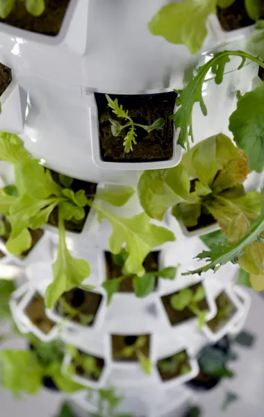 Create An Indoor Vertical Garden Using Upcycled Plastic Bottles And Led Grow Lights 9f4427