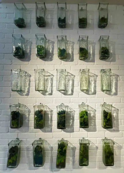 create an indoor vertical garden with repurposed mason jars and LED grow lights setup