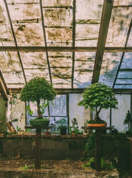 Create An Indoor Vertical Garden With Repurposed Plastic Bottles And Led Lights