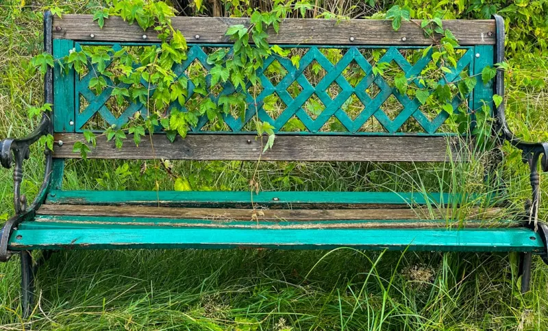 create an upcycled garden bench from old pallets and paint it with eco-friendly colors result