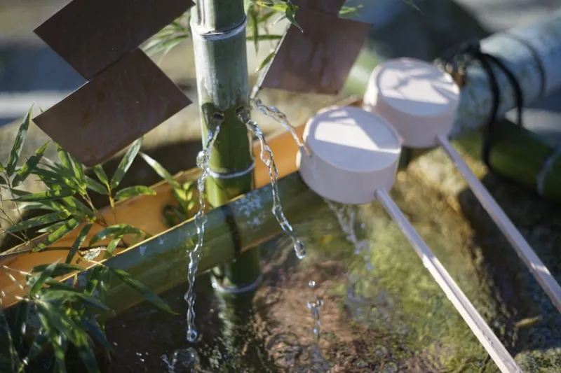 Create An Upcycled Rainwater Harvesting System Using Plastic Bottles And Old Gutters