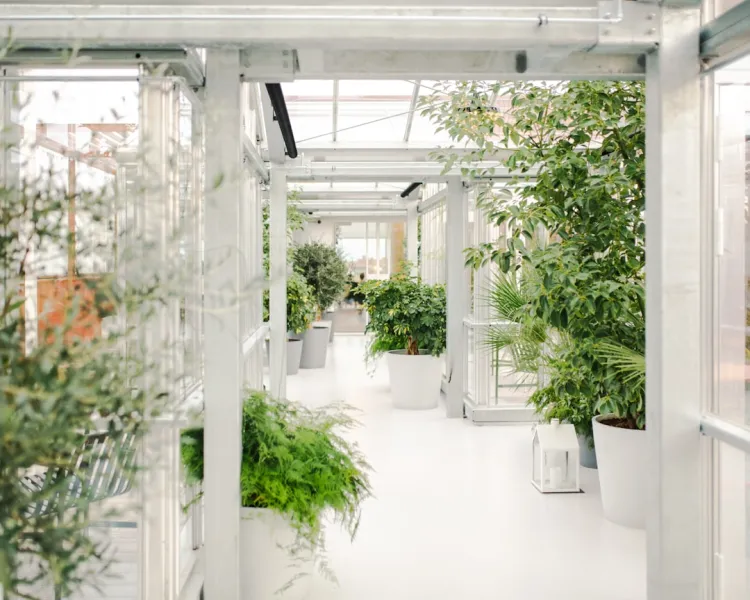 How To Create A Sustainable Indoor Herb Garden For Summer 2025