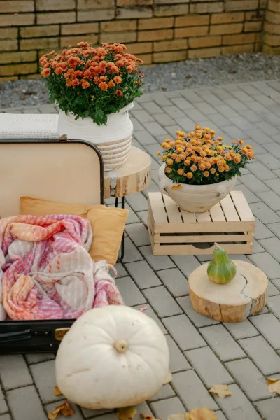 Upcycle Vintage Suitcases Into Stylish Outdoor Garden Benches