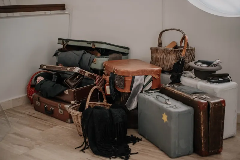 Upcycle Vintage Suitcases Into Stylish Pet Beds With Built In Storage 6ebc3e